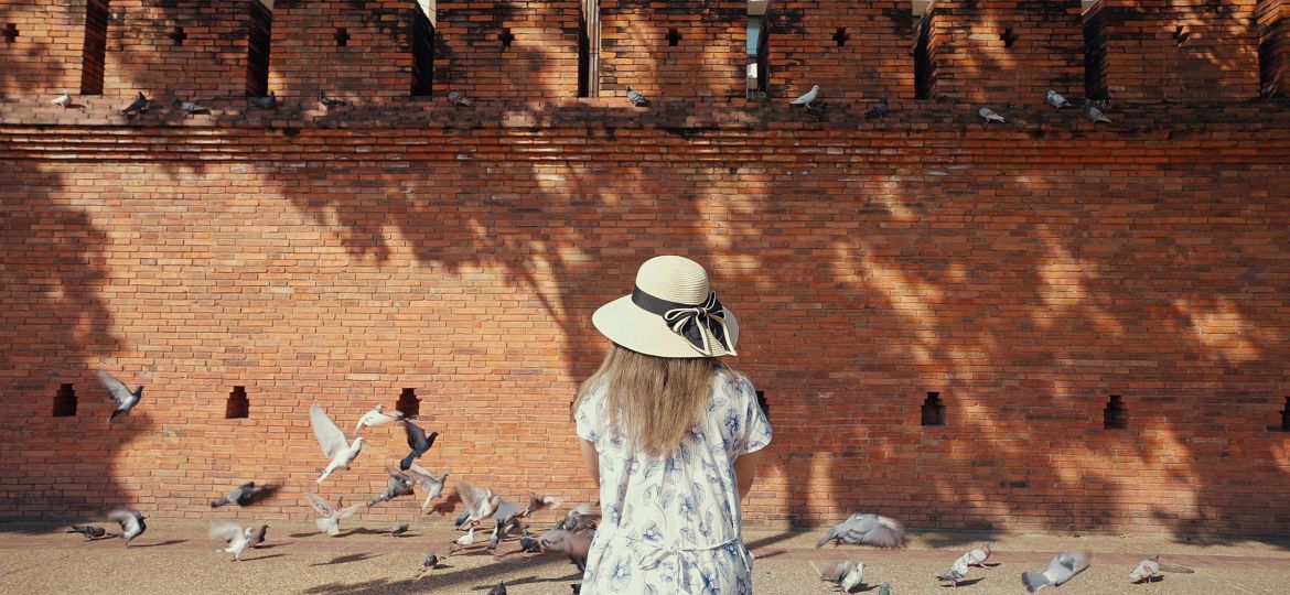 Back view of asian women walking at Tha Phae Gate, Chiang Mai, Thailand and there are many flying birds