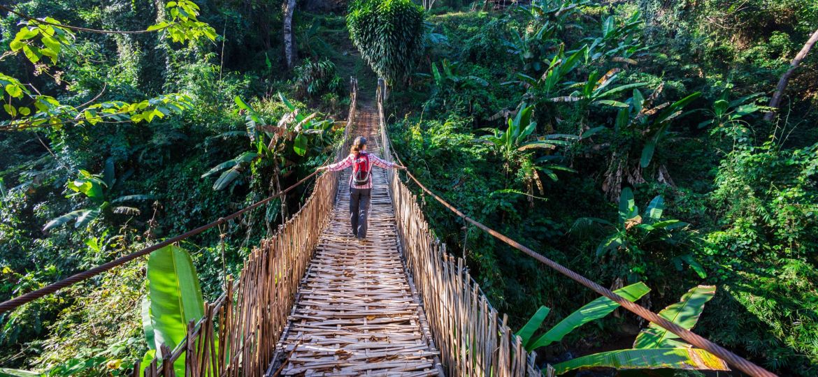 Woman with backpack on suspension bridge in rainforest