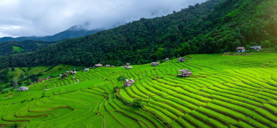 Aerial view of Rice terrace at Ban pa bong piang in Chiang mai, Thailand.