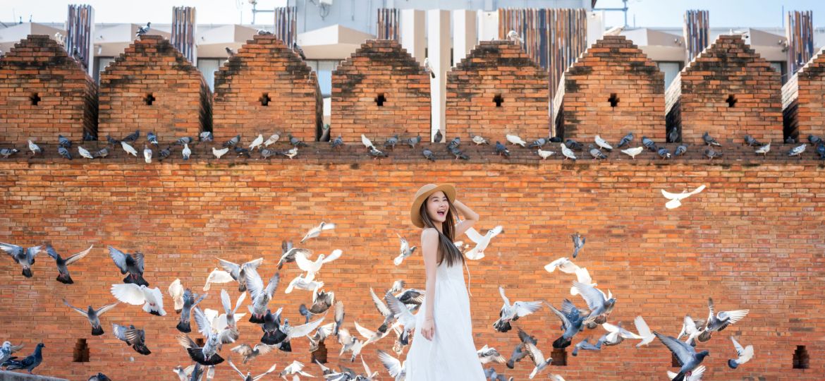 Joyful Asian Woman Surrounded by Flying Pigeons in Front of Historic Brick Wall at Tha Phae Gate, Chiang Mai