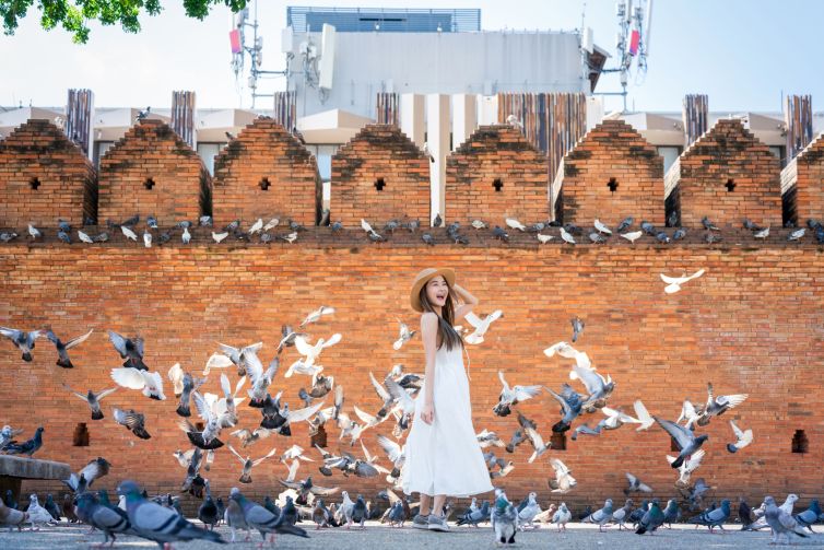 Joyful Asian Woman Surrounded by Flying Pigeons in Front of Historic Brick Wall at Tha Phae Gate, Chiang Mai